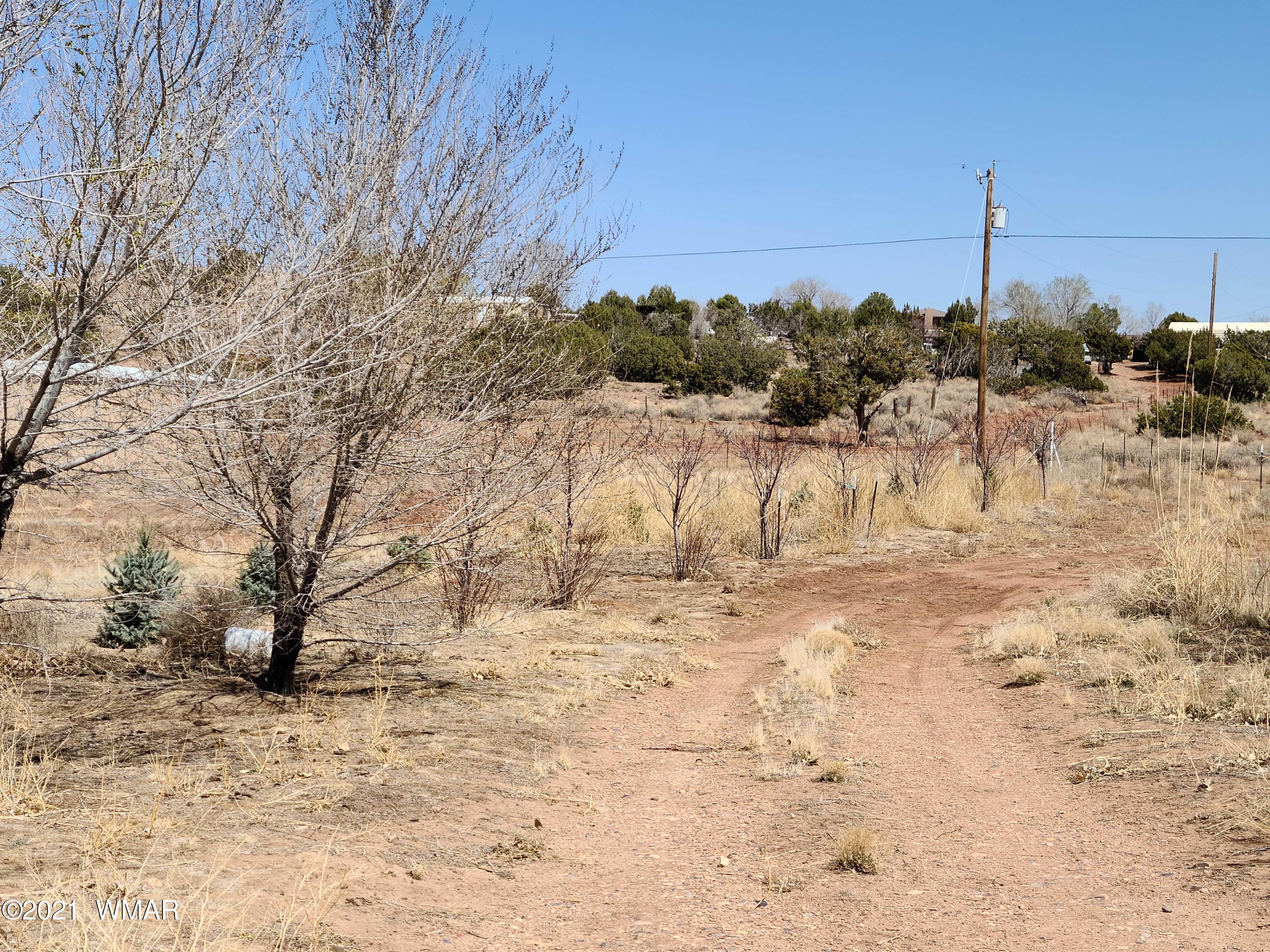 4079 Juniper Road Snowflake, AZ 85937 - Photo 16 of 21