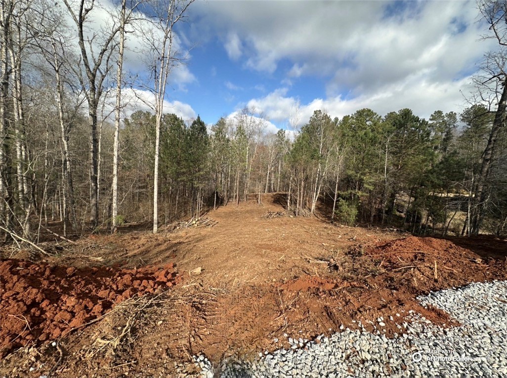 1698 Shoal Creek Way Bishop, GA 30621 - Photo 4 of 7