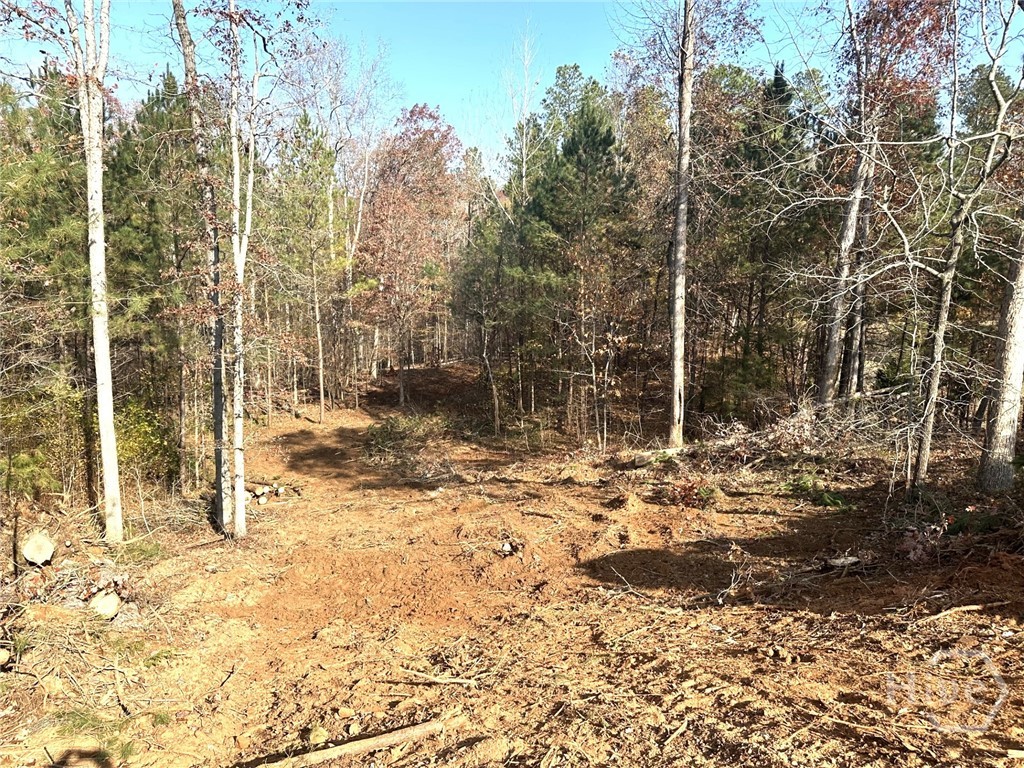 1698 Shoal Creek Way Bishop, GA 30621 - Photo 5 of 7