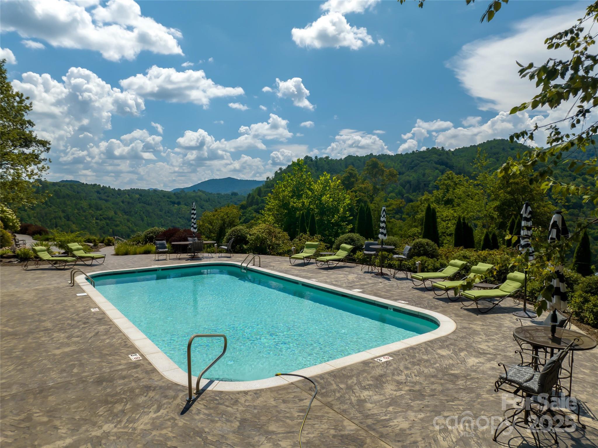 101 Red Maple Run, Unit 1 Marshall, NC 28753 - Photo 12 of 45 a view of a swimming pool with lounge chair