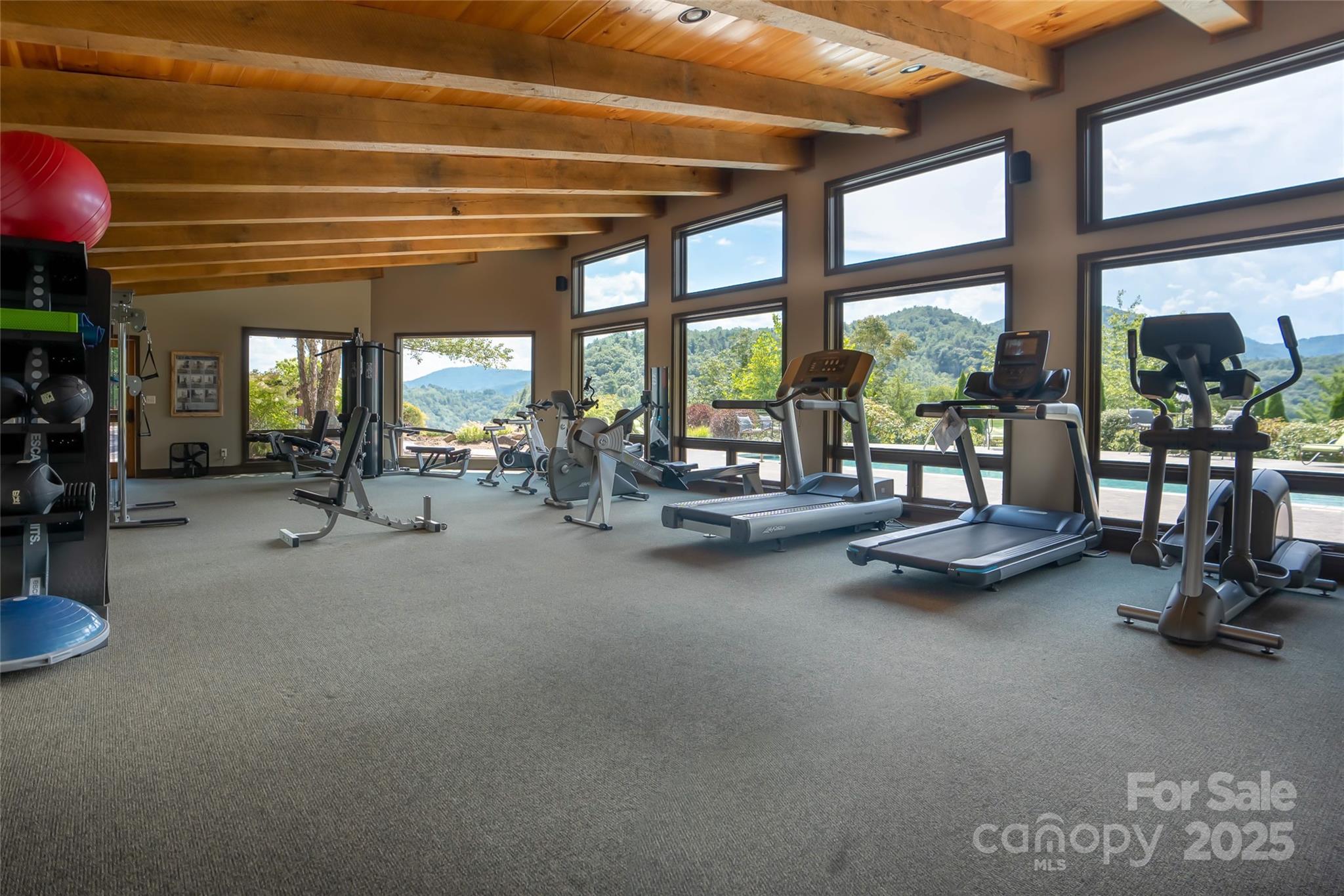101 Red Maple Run, Unit 1 Marshall, NC 28753 - Photo 20 of 45 a room with gym equipment and a large window