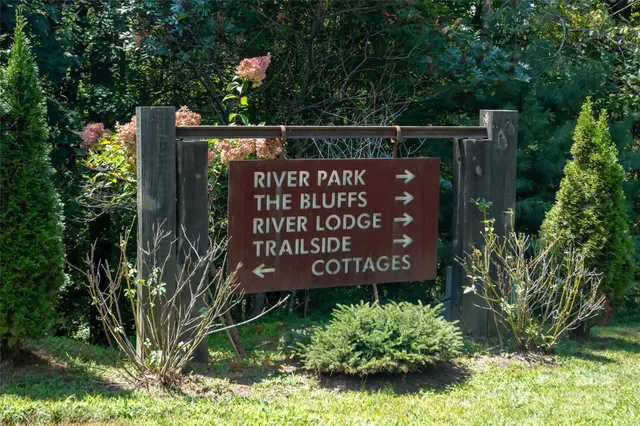 a yard with trees in the background