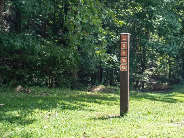 a view of a yard with plants and trees