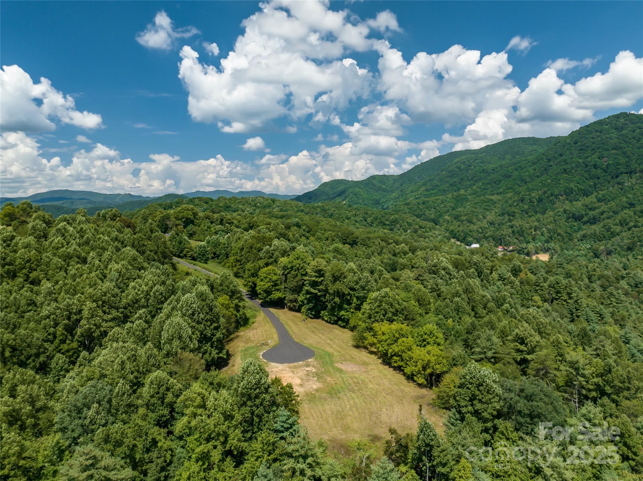 101 Red Maple Run, Unit 1 Marshall, NC 28753 - Photo 3 of 45 a view of a bunch of trees in the background