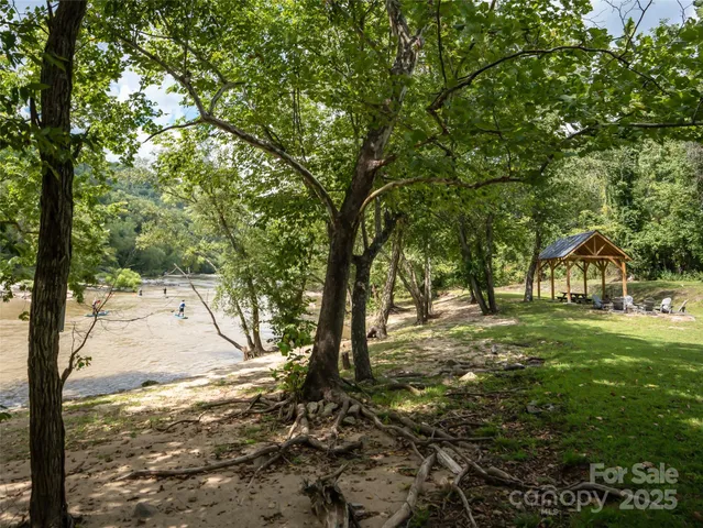 a view of a park with large trees