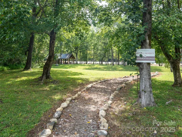 a view of a lake from a yard