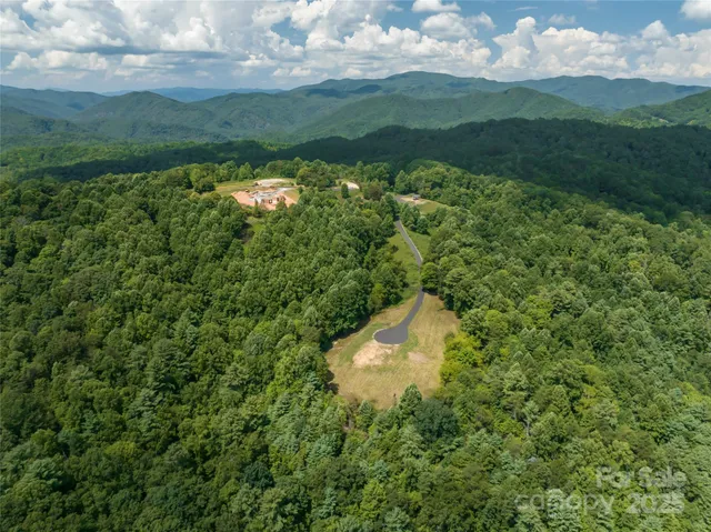 a view of outdoor space yard and green space