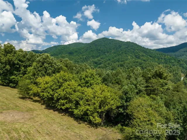 a view of a bunch of trees in background