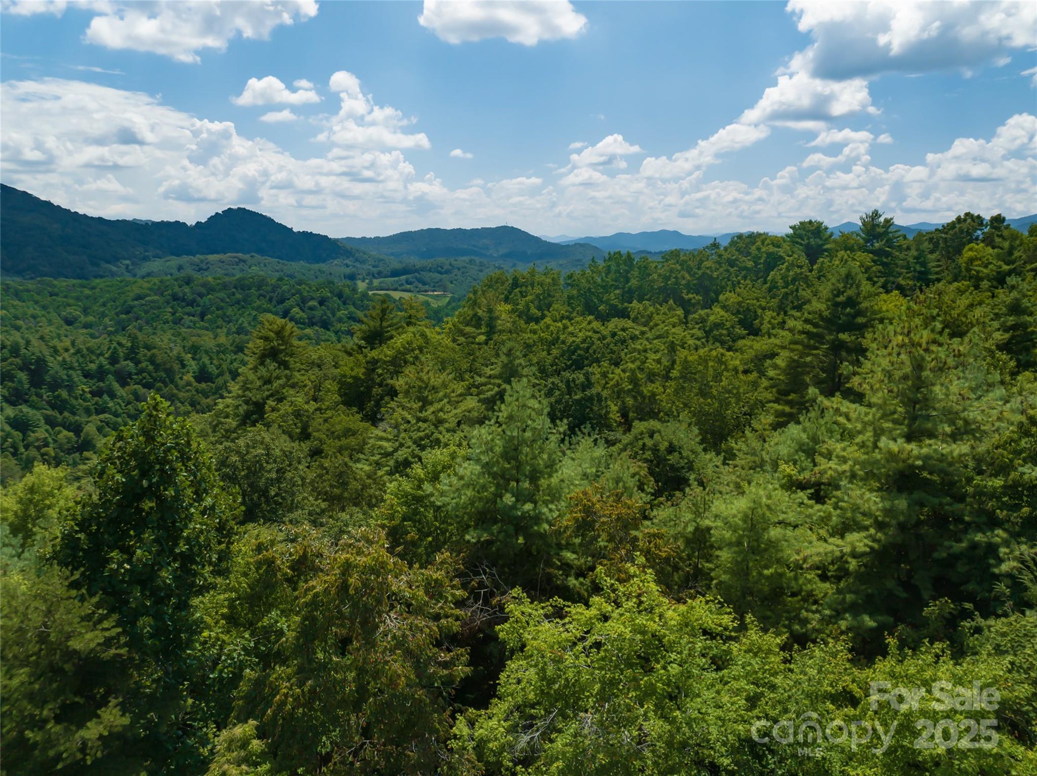 101 Red Maple Run, Unit 1 Marshall, NC 28753 - Photo 40 of 45 a view of a city with lush green forest