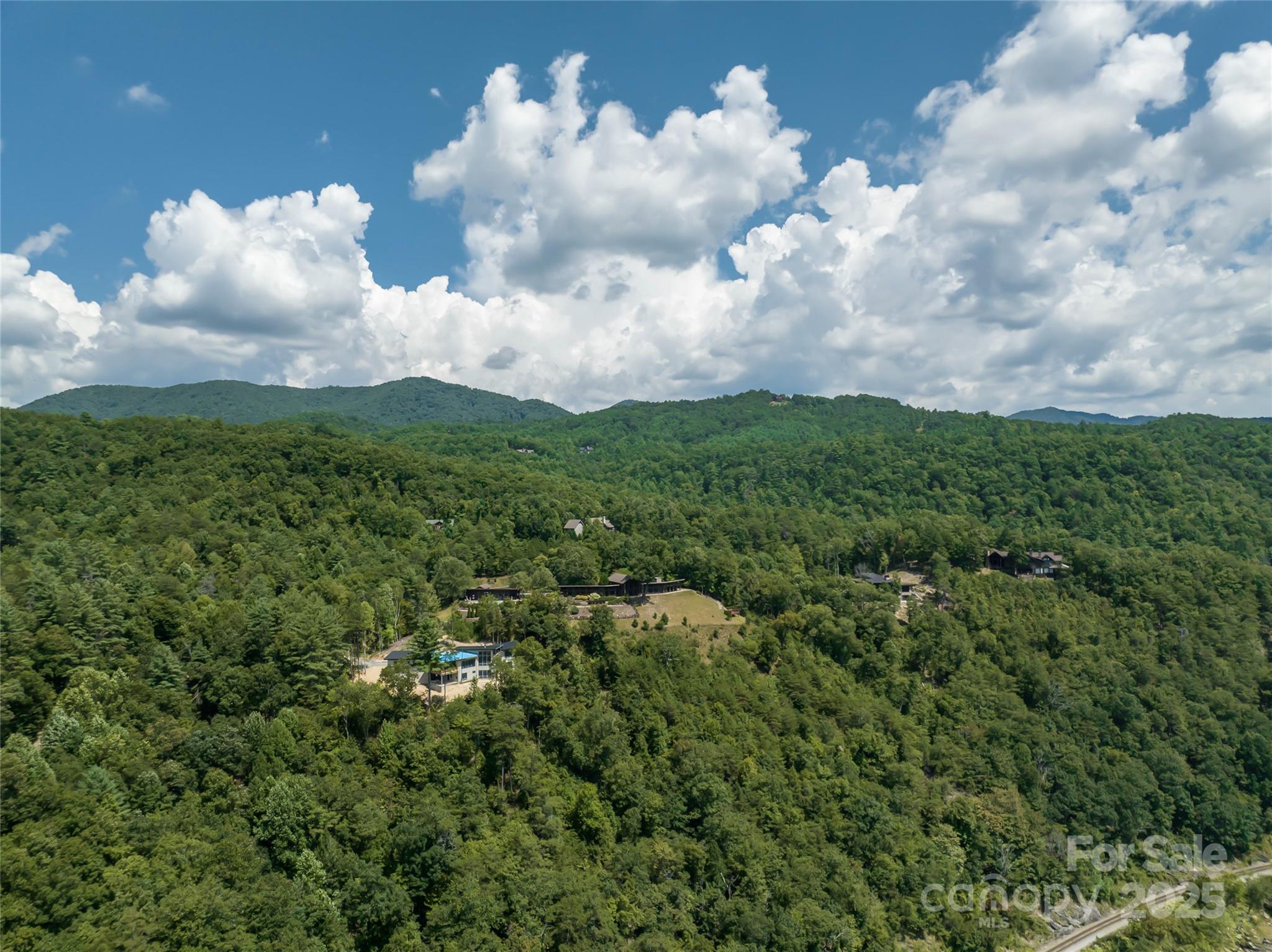 101 Red Maple Run, Unit 1 Marshall, NC 28753 - Photo 41 of 45 a view of a bunch of trees in background