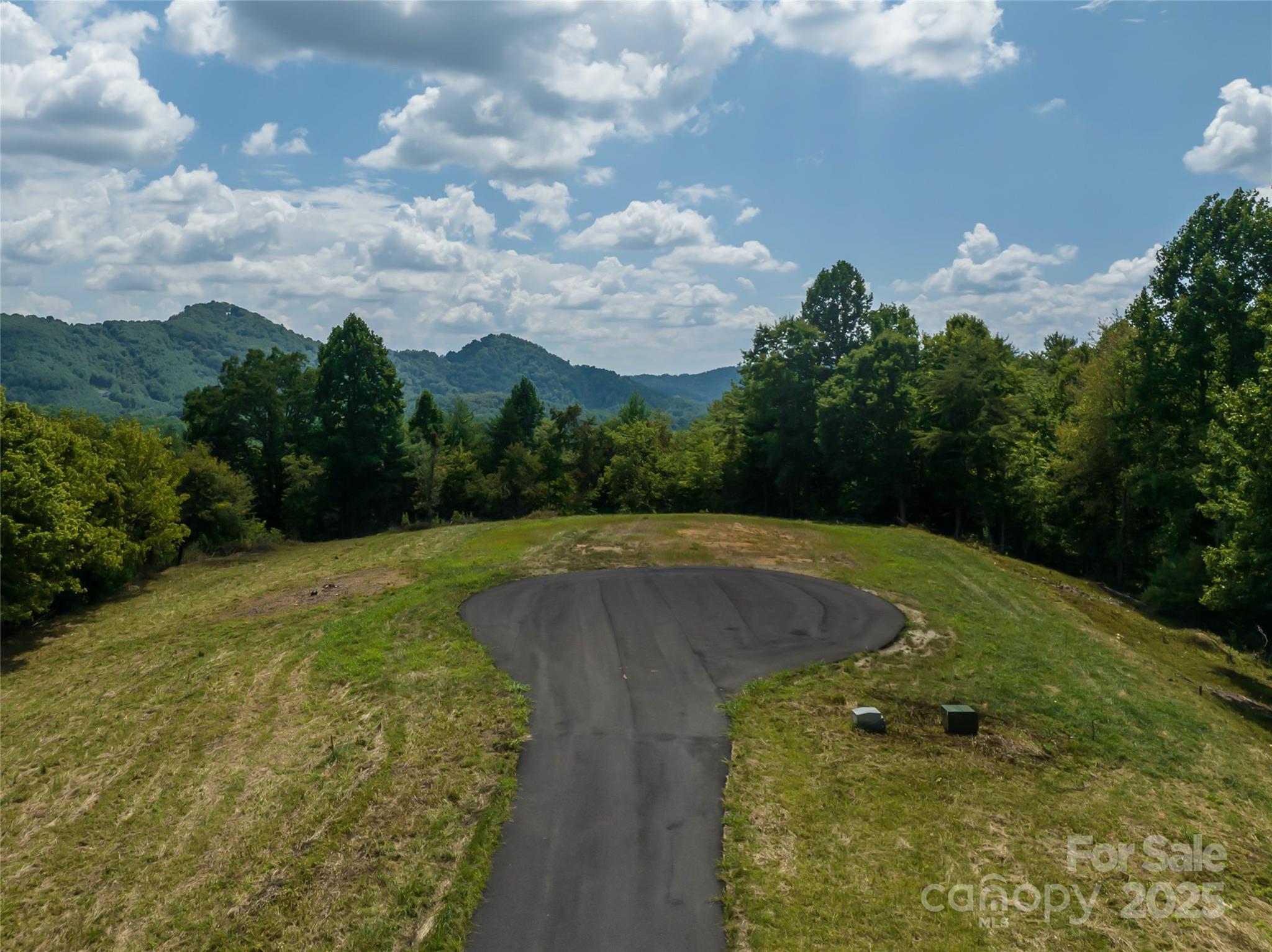 101 Red Maple Run, Unit 1 Marshall, NC 28753 - Photo 5 of 45 a view of a backyard