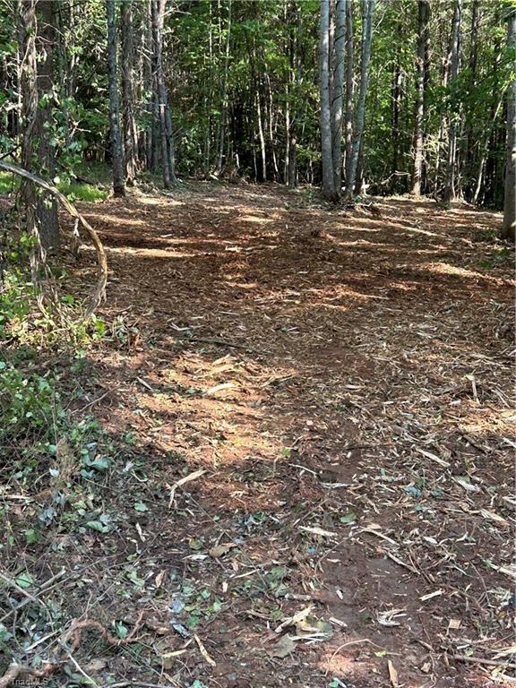 Tbd Austin Traphill Road Traphill, NC 28685 - Photo 2 of 6