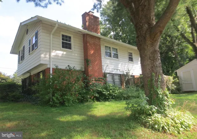 a backyard of a house with plants and large tree