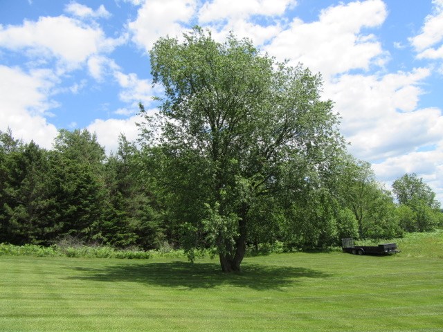 8591 South 41 Road Cadillac, MI 49601 - Photo 39 of 41 1834412-38.JPG