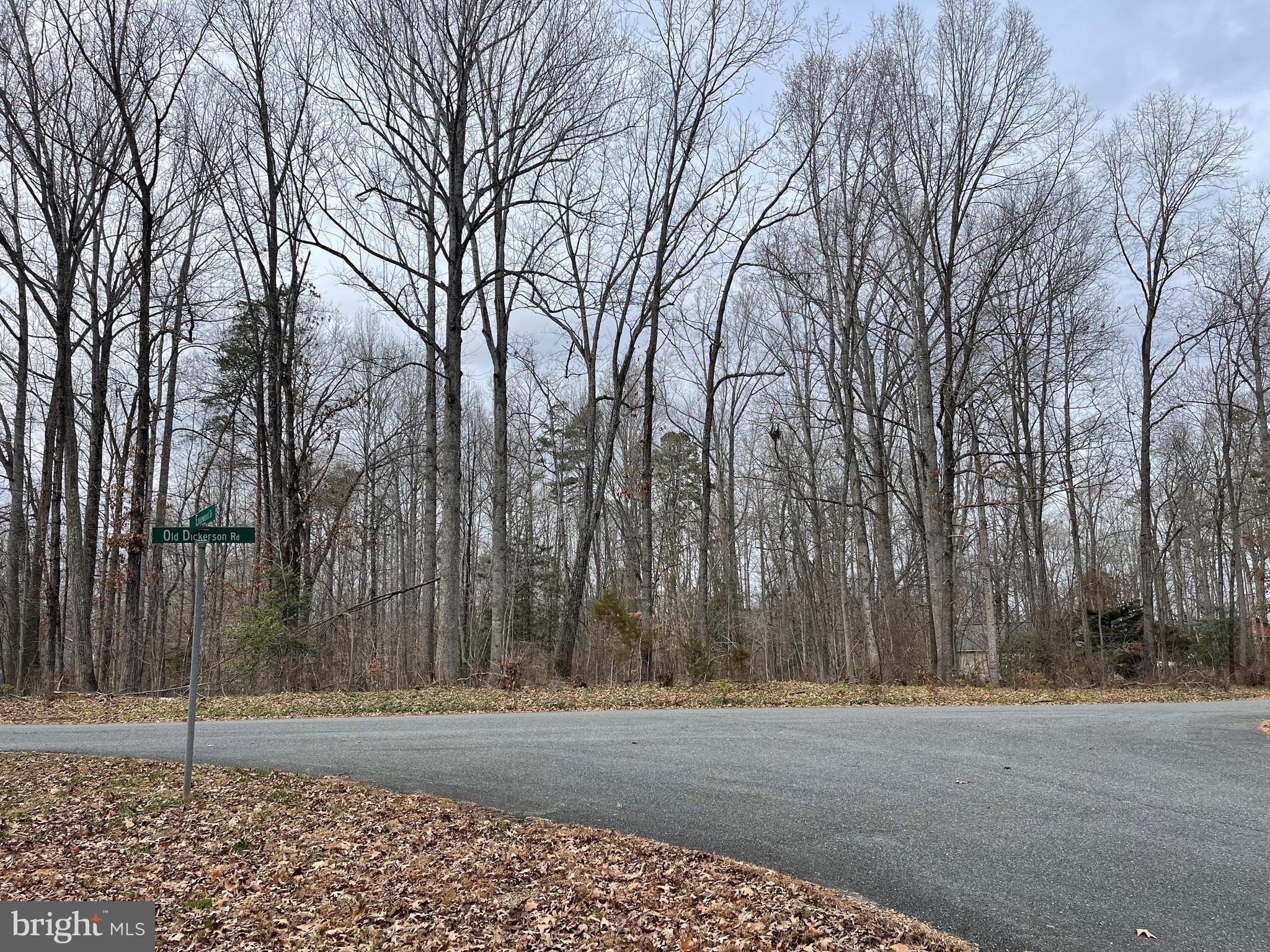 7306 Old Dickersons Road Orange, VA 22960 - Photo 2 of 11