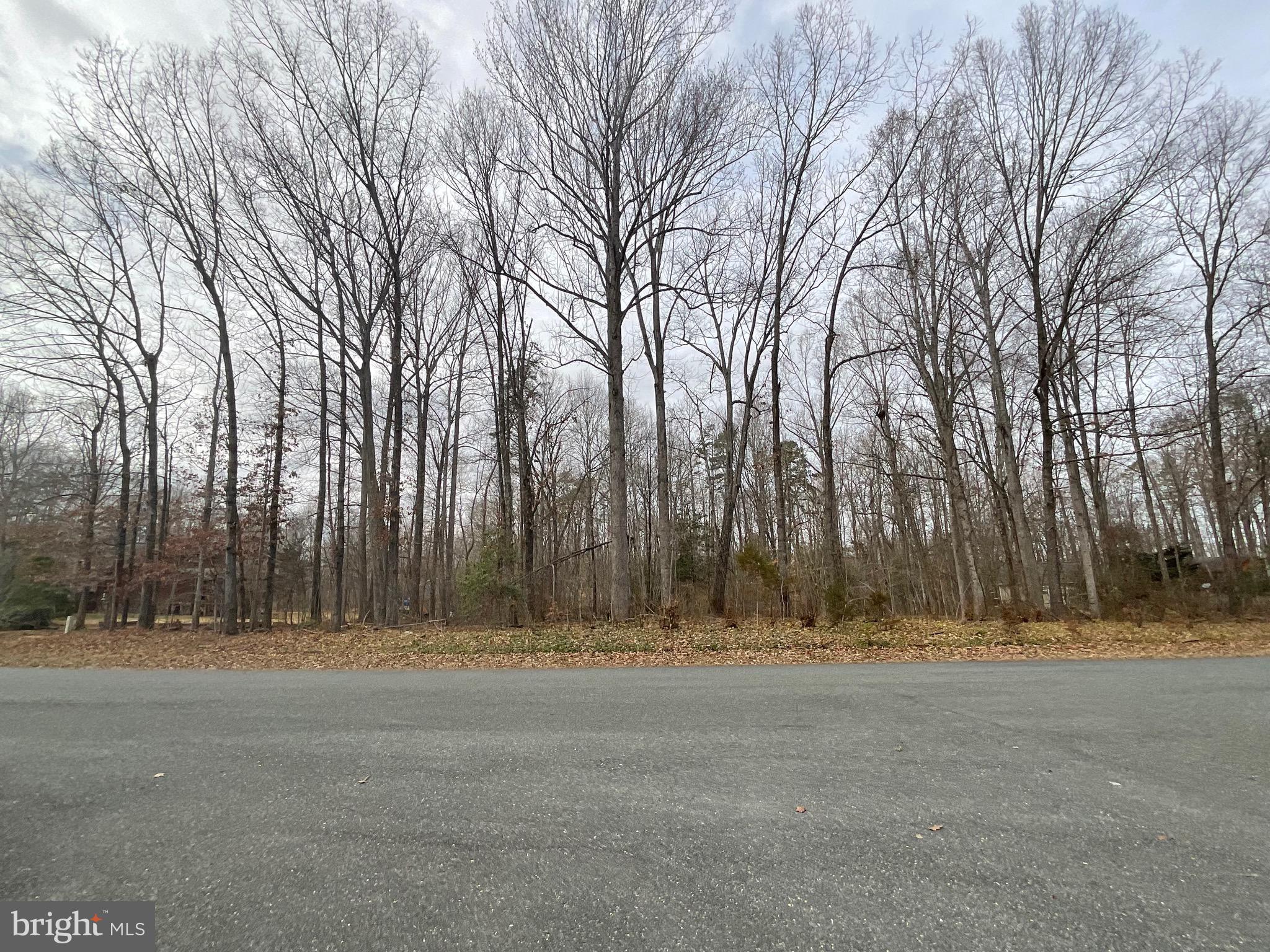 7306 Old Dickersons Road Orange, VA 22960 - Photo 3 of 11