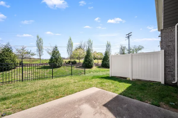 a view of a backyard with a garden and plants