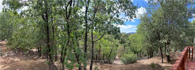 a view of a forest with trees in front of it