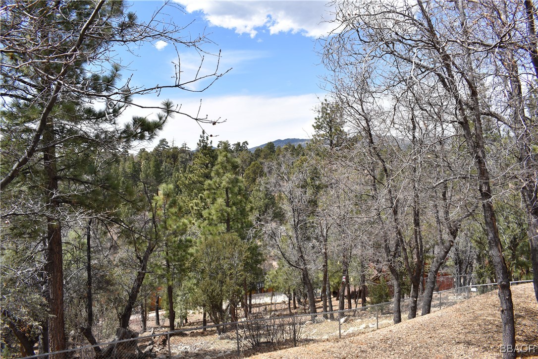 442 Inyo Avenue Sugarloaf, CA 92386 - Photo 21 of 33