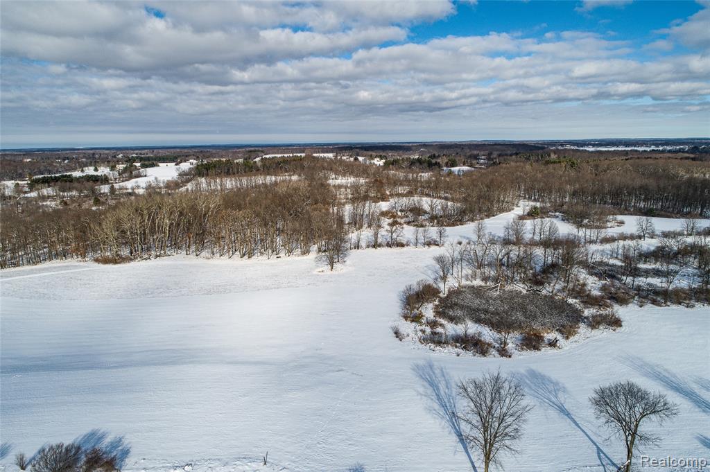 4476 Merwin Road Lapeer, MI 48446 - Photo 35 of 41