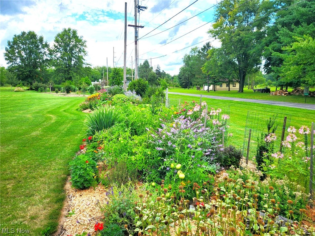 46948 Butternut Ridge Road Oberlin, OH 44074 - Photo 9 of 27 Landscaping during summer
