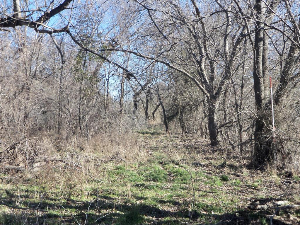 590 Pr 370 Road Hubbard, TX 76648 - Photo 12 of 28 back property line
