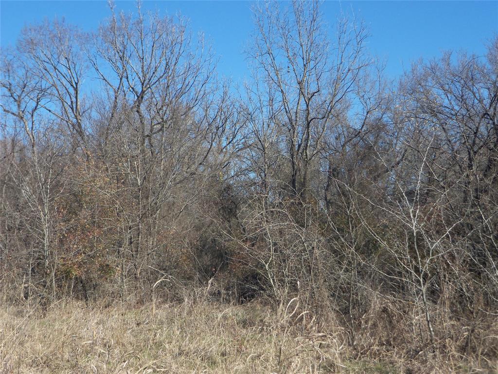 590 Pr 370 Road Hubbard, TX 76648 - Photo 13 of 28