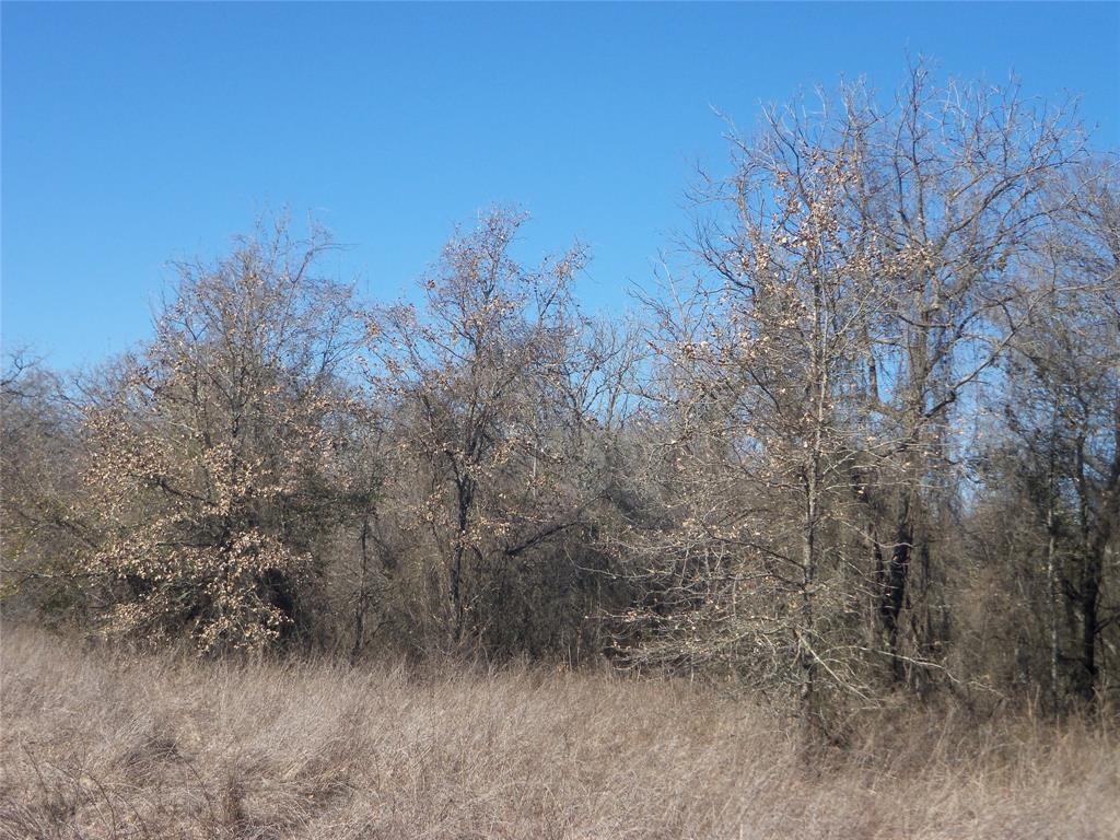 590 Pr 370 Road Hubbard, TX 76648 - Photo 14 of 28