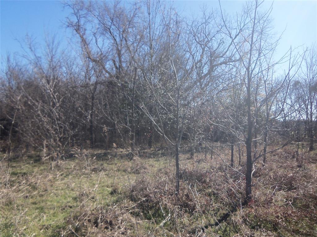590 Pr 370 Road Hubbard, TX 76648 - Photo 15 of 28