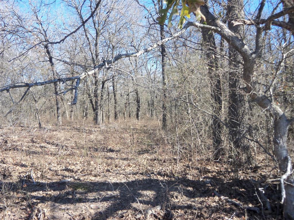 590 Pr 370 Road Hubbard, TX 76648 - Photo 16 of 28