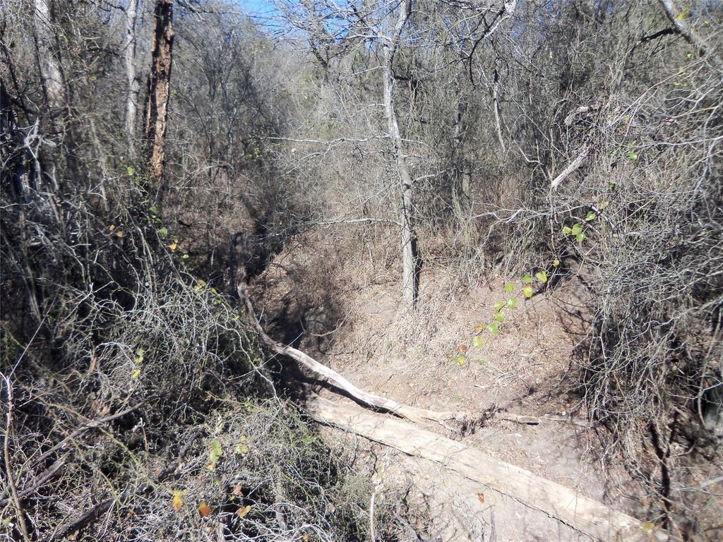 590 Pr 370 Road Hubbard, TX 76648 - Photo 18 of 28 dry creek