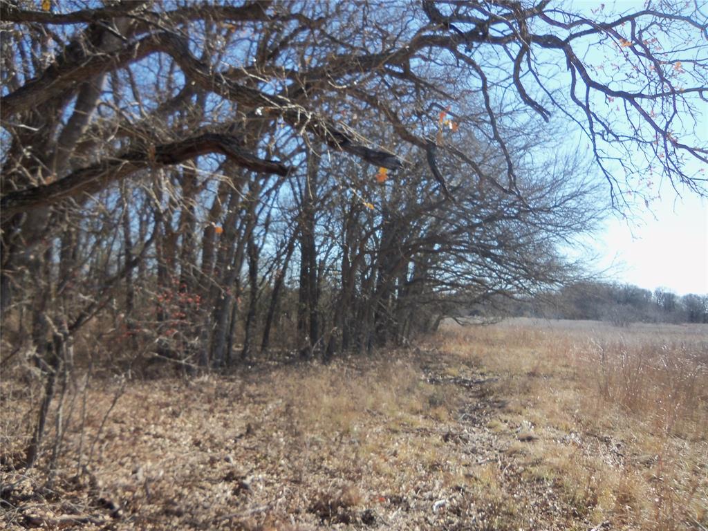 590 Pr 370 Road Hubbard, TX 76648 - Photo 20 of 28