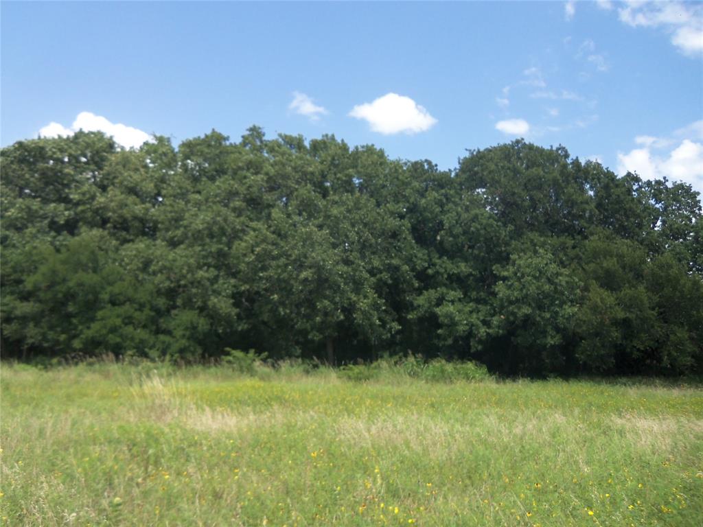 590 Pr 370 Road Hubbard, TX 76648 - Photo 2 of 28 ALL KINDS OF OAK TREES