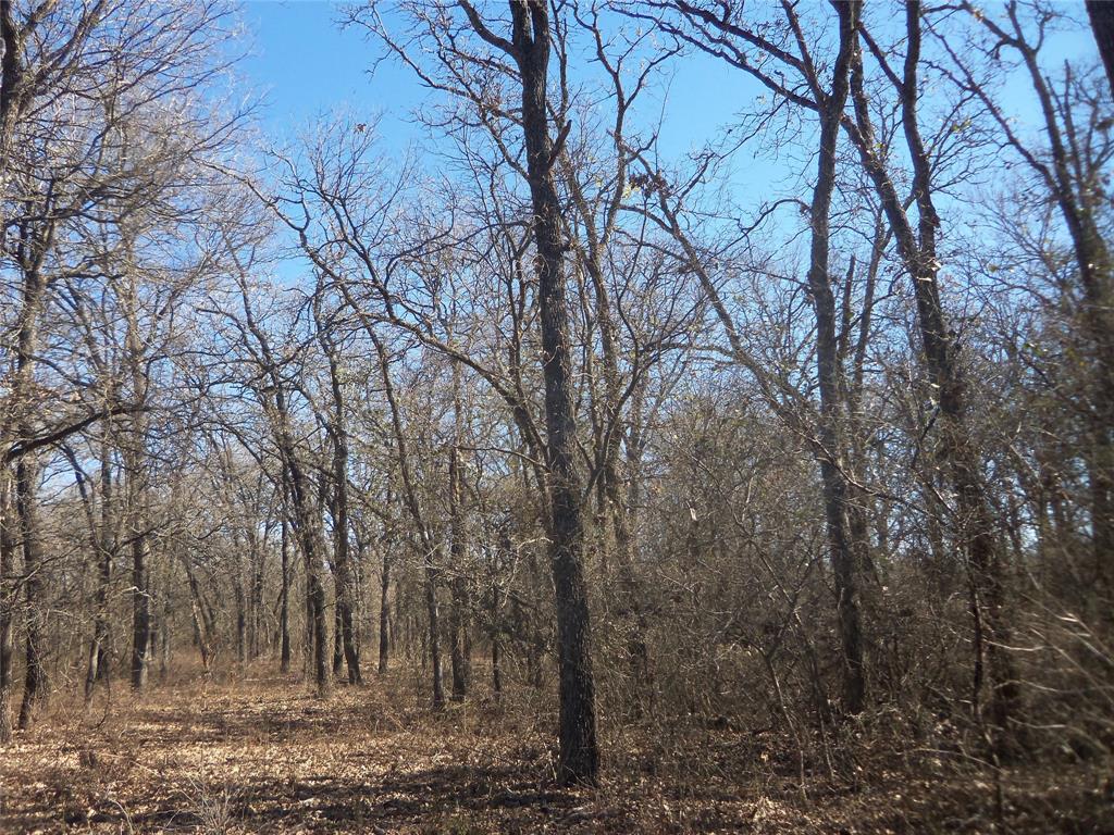 590 Pr 370 Road Hubbard, TX 76648 - Photo 21 of 28
