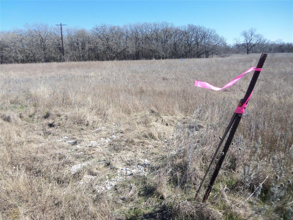 590 Pr 370 Road Hubbard, TX 76648 - Photo 23 of 28 property line stake