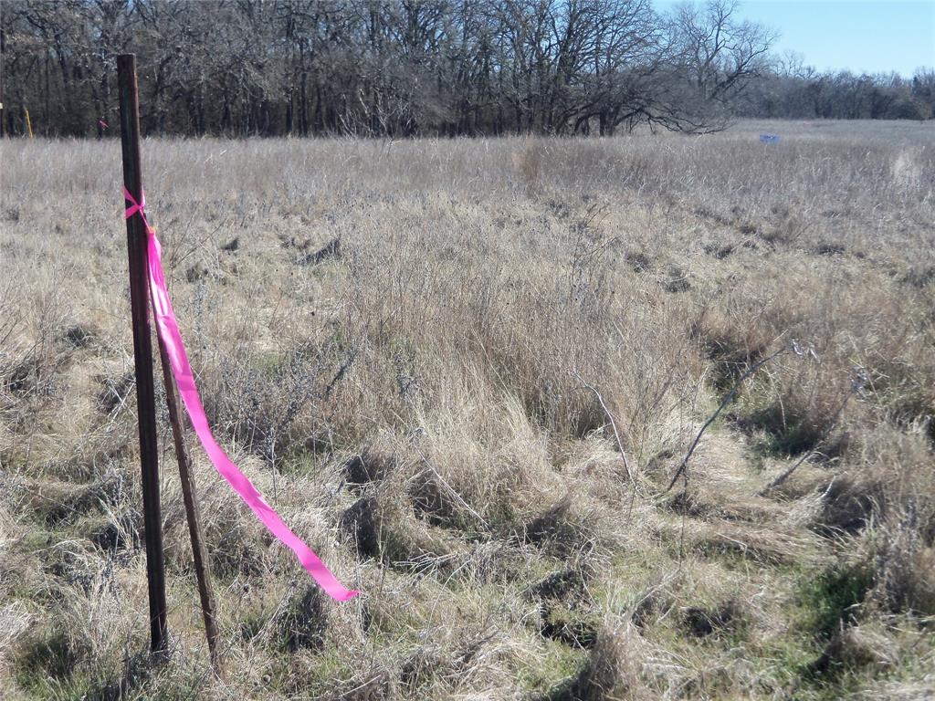 590 Pr 370 Road Hubbard, TX 76648 - Photo 25 of 28 property line stake