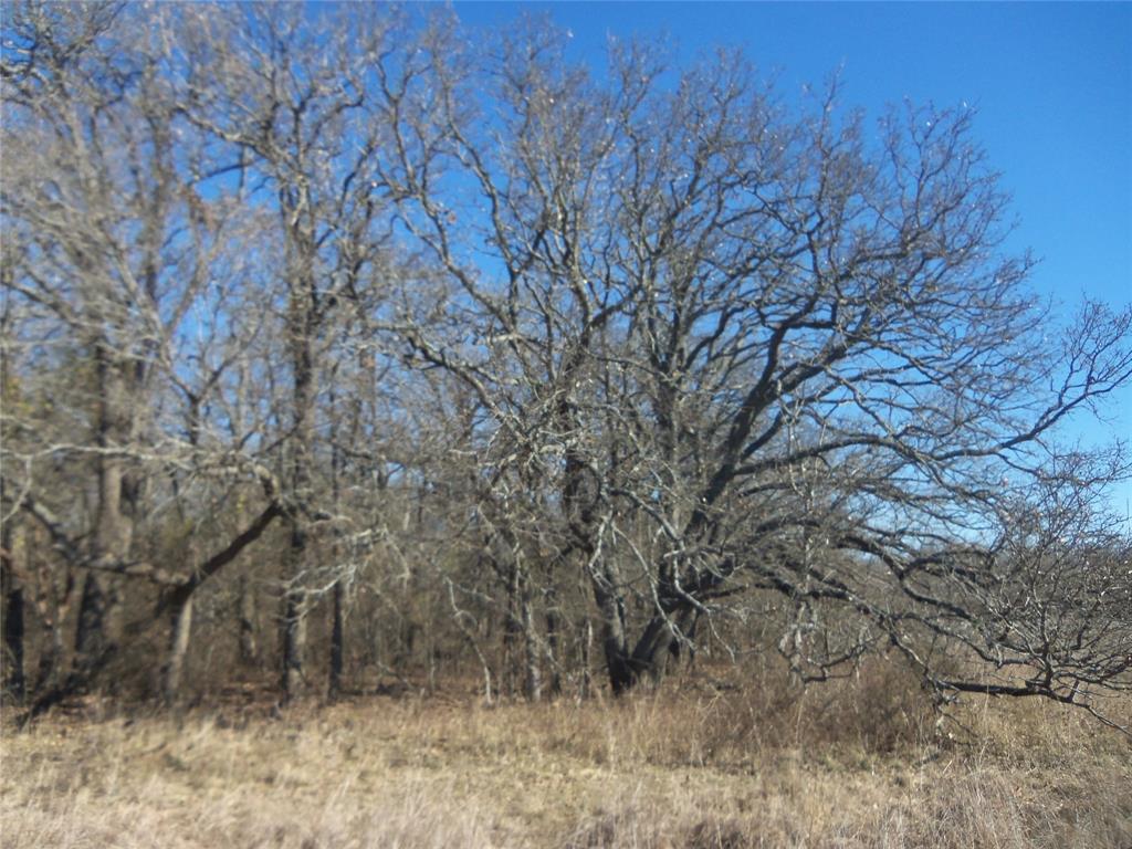 590 Pr 370 Road Hubbard, TX 76648 - Photo 7 of 28
