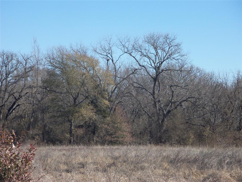 590 Pr 370 Road Hubbard, TX 76648 - Photo 8 of 28