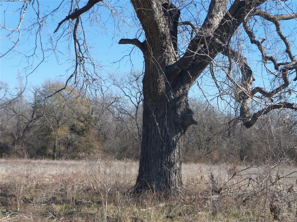 590 Pr 370 Road Hubbard, TX 76648 - Photo 9 of 28