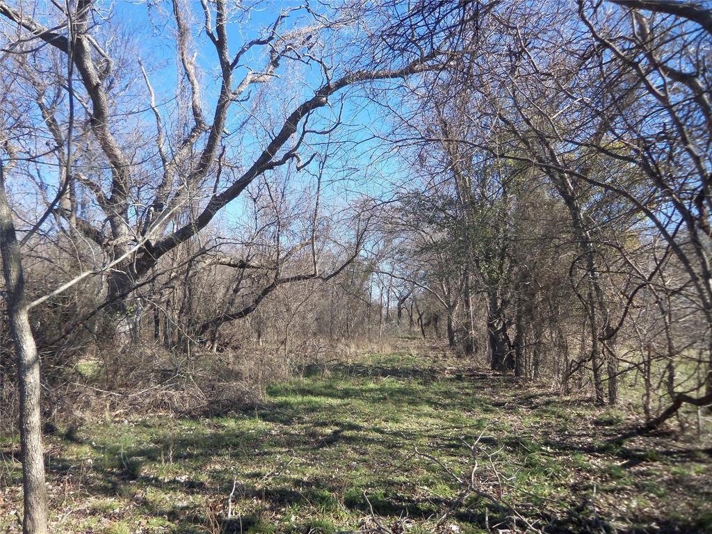 590 Pr 370 Road Hubbard, TX 76648 - Photo 10 of 28