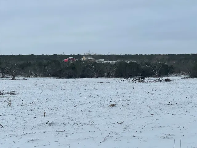a view of a dry yard