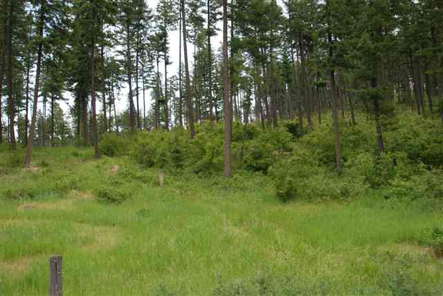 0 West Hazard Road Mead, WA 99021 - Photo 1 of 5 Gallery Image 1