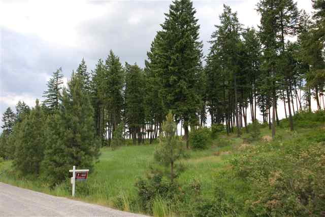0 West Hazard Road Mead, WA 99021 - Photo 2 of 5 Gallery Image 2
