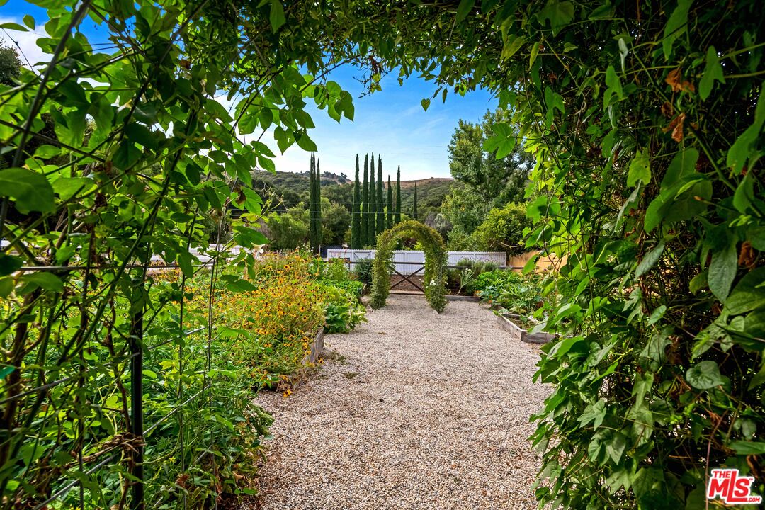 2437 Stokes Canyon Road Calabasas, CA 91302 - Photo 42 of 60 a pathway of a garden with plants and large trees