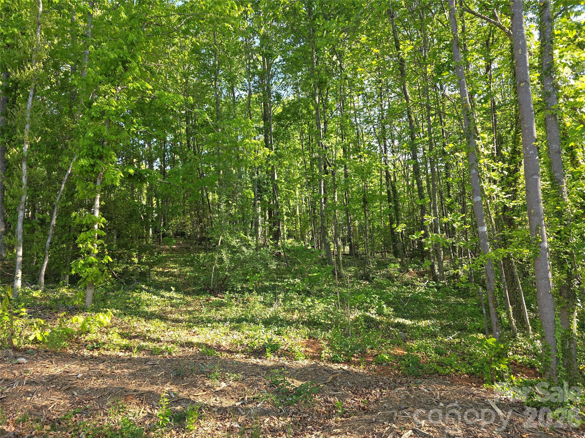 55 Cypress Road Marion, NC 28752 - Photo 37 of 38