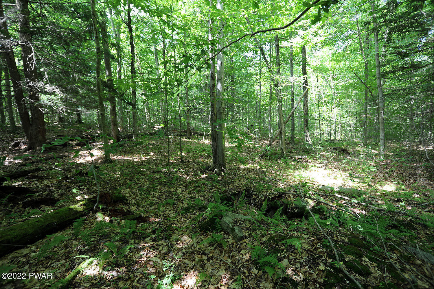 0 Minckler Mountain Road Damascus, PA 18415 - Photo 42 of 43