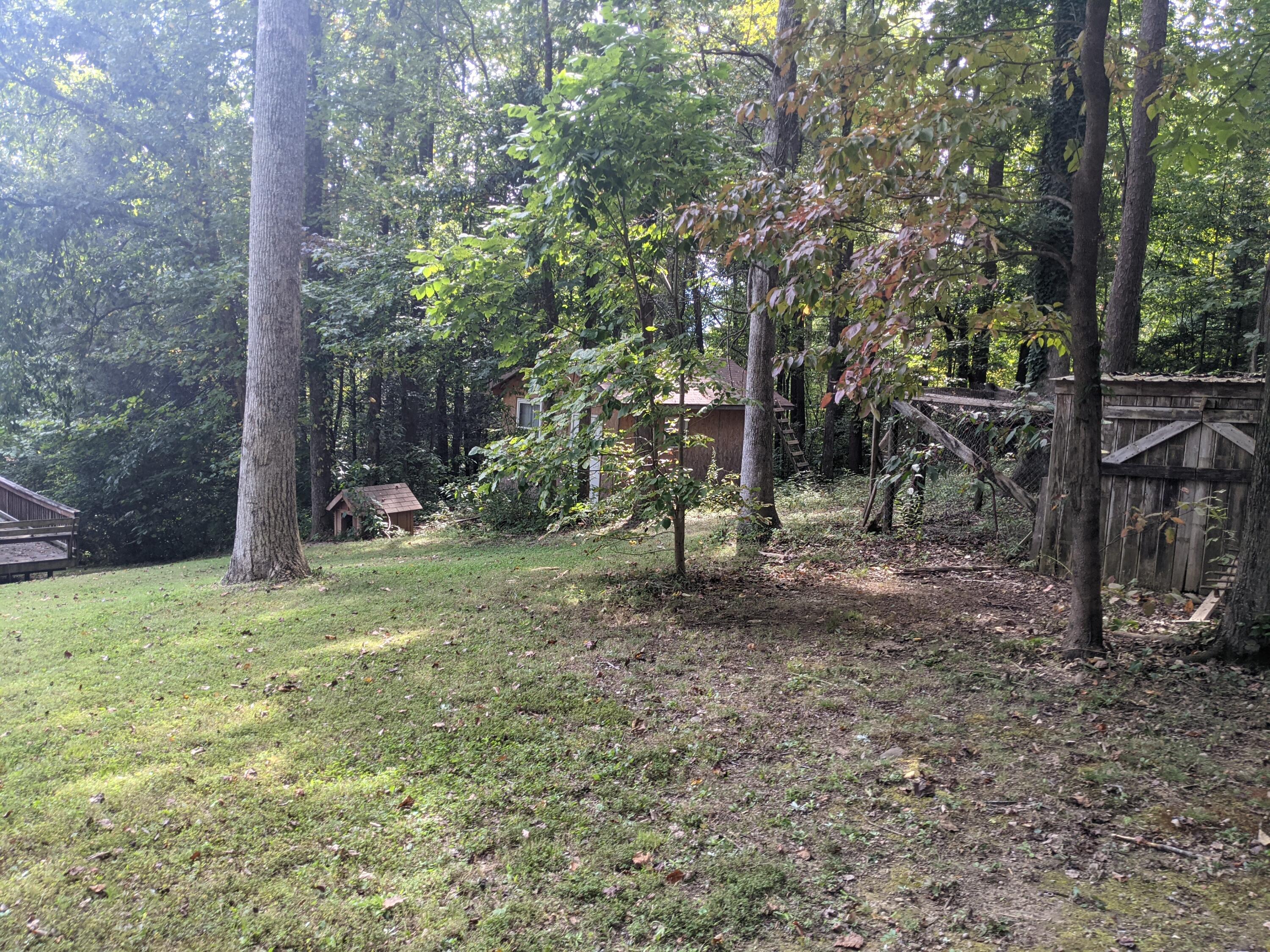 7790 Berry Williams Road Townsend, TN 37882 - Photo 13 of 26 PXL_20210930_183137569