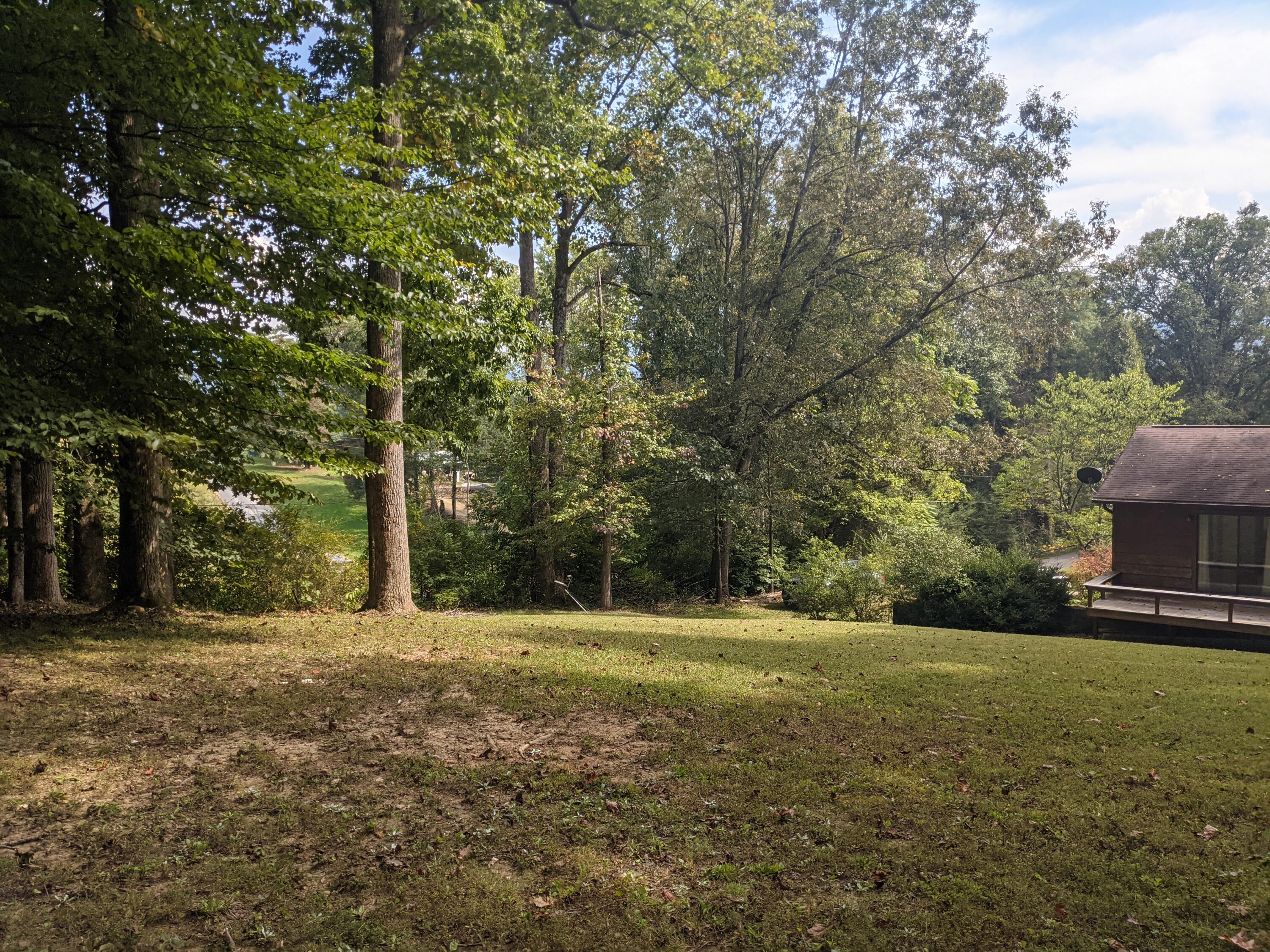 7790 Berry Williams Road Townsend, TN 37882 - Photo 14 of 26 PXL_20210930_183142773