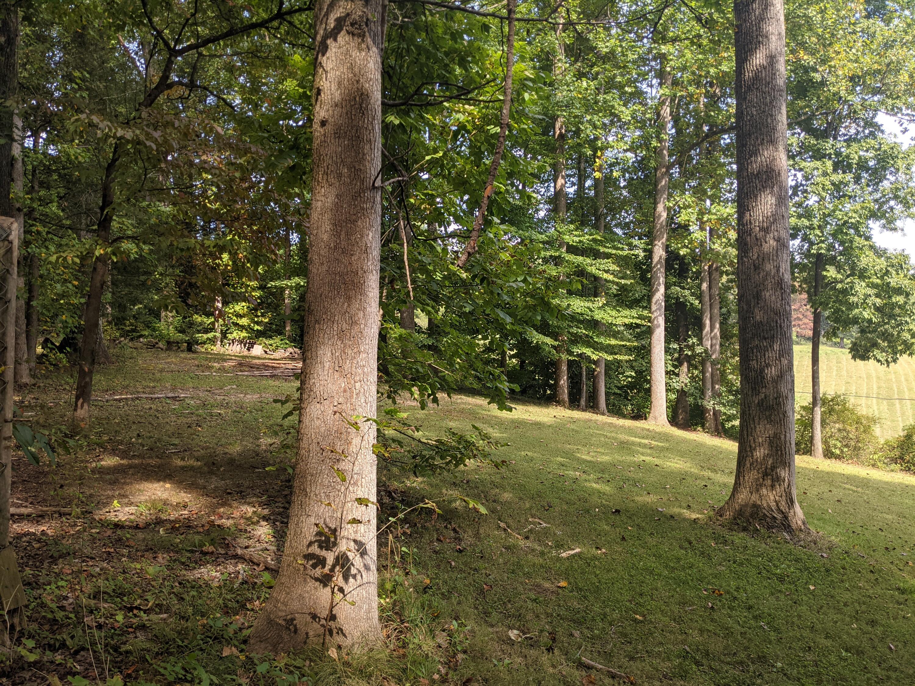 7790 Berry Williams Road Townsend, TN 37882 - Photo 16 of 26 PXL_20210930_183228572