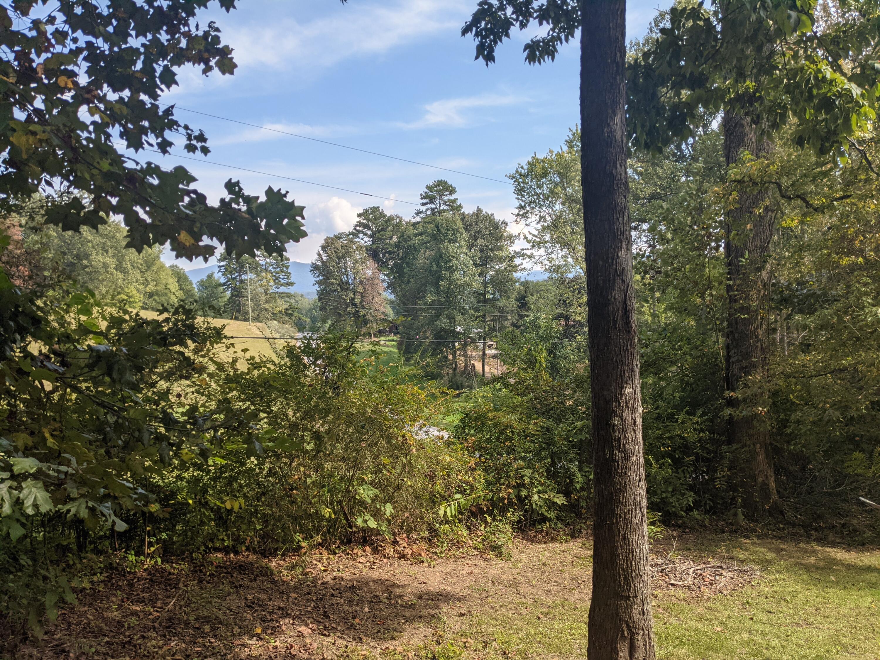 7790 Berry Williams Road Townsend, TN 37882 - Photo 6 of 26 PXL_20210930_183118685